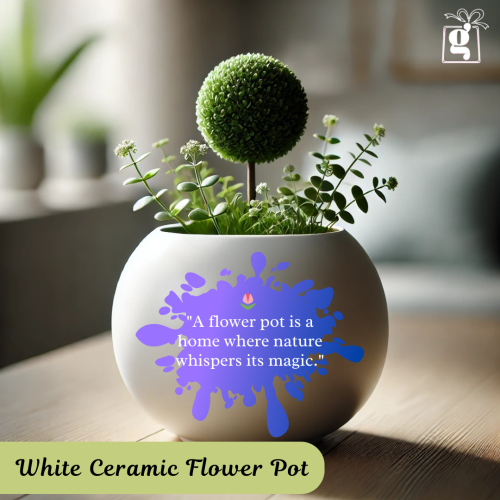 Ceramic Flower Pot