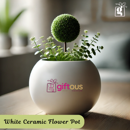 Ceramic Flower Pot