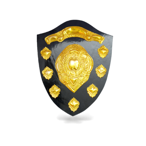Giftous Wooden Sports Metal Trophy Shield