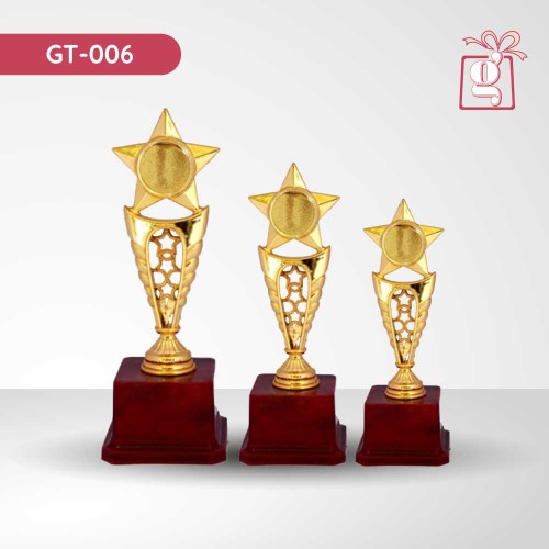 Star Top Design Trophy