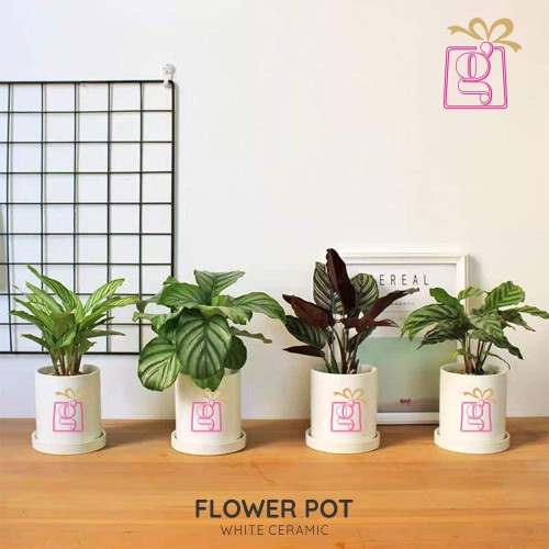 Personalised Flower Pot